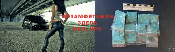 гидра Гусь-Хрустальный