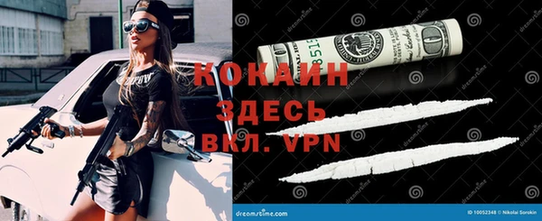 сатива Зеленодольск