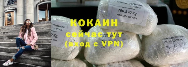 2c-b Ельня
