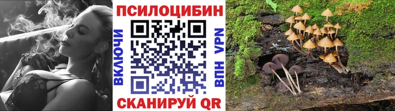 Псилоцибиновые грибы Psilocybe  Купить где  Кемь 
