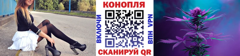 Купить закладки  Кемь  Канабис OG Kush 